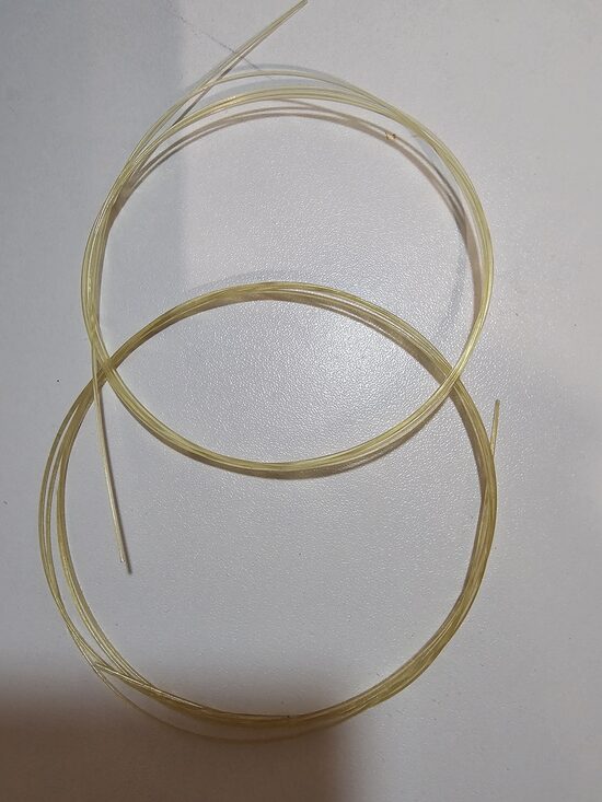 MUSICAL GUT STRINGS
